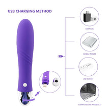 Load image into Gallery viewer, Vibrator 12 Dual-frequency Female Masturbation Stick Climax Waterproof Adult Products