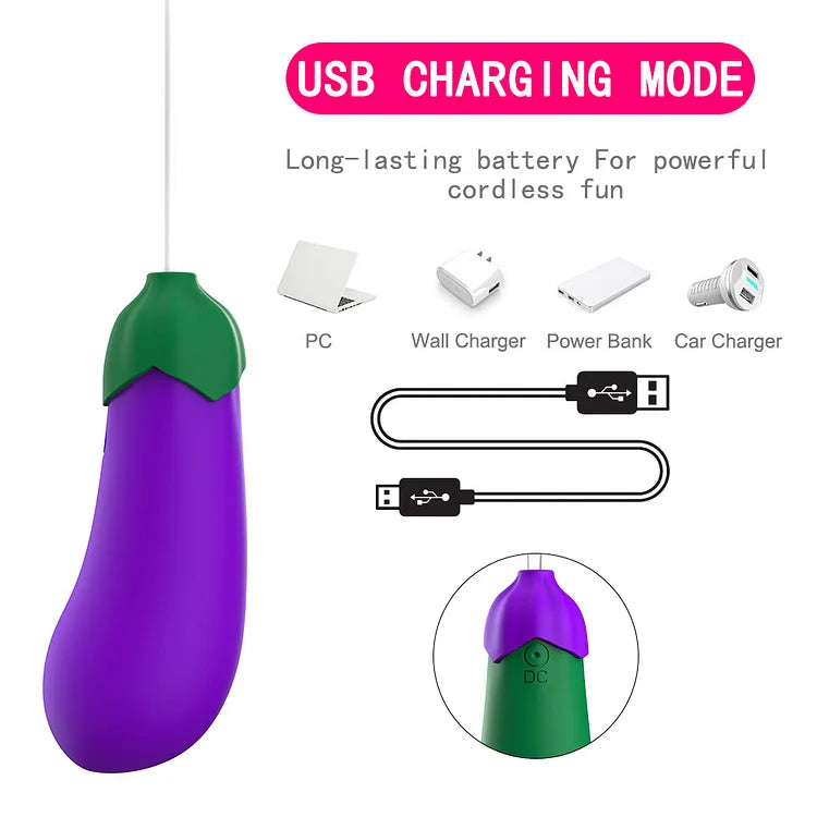 Wireless Eggplant Bullet Vibrator Love Eggs with 10 Vibration Modes