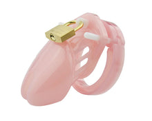 Load image into Gallery viewer, Male Plastic Chastity Lock